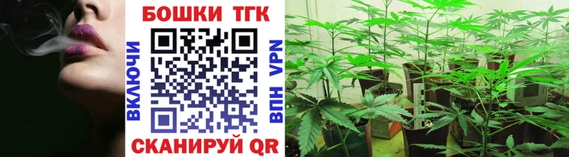 Купить наркотики Агрыз ГАШ  A-PVP  Героин  Бошки Шишки  Меф мяу мяу 