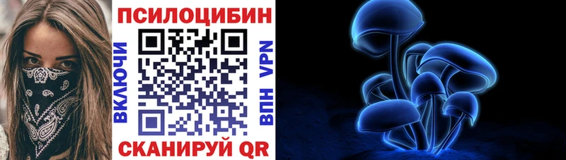 МЕГА ссылка  Агрыз  Галлюциногенные грибы Cubensis 