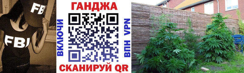 хочу наркоту  Агрыз  Конопля SATIVA & INDICA 